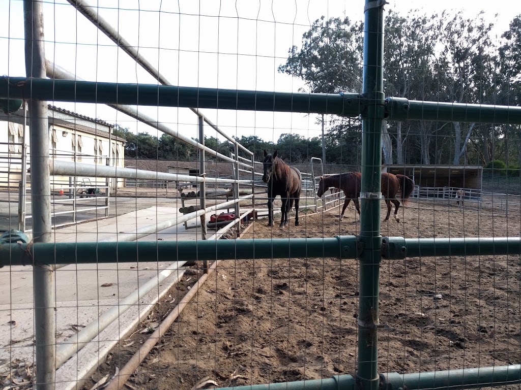 SFPD Stables | John F Kennedy Dr, San Francisco, CA 94122 | Phone: (415) 752-6255