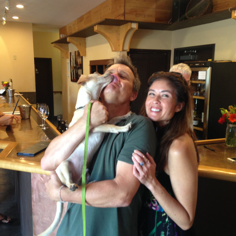 Dog Friendly Wine Tours | 608 Kilpatrick St, American Canyon, CA 94503 | Phone: (707) 260-4828