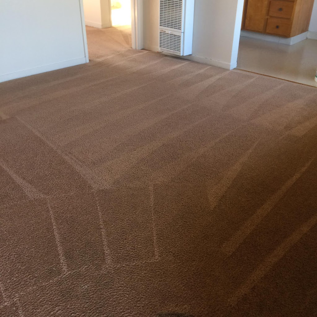 tonitas carpet cleaning | 1138 Starbird Cir, San Jose, CA 95117 | Phone: (408) 819-1125