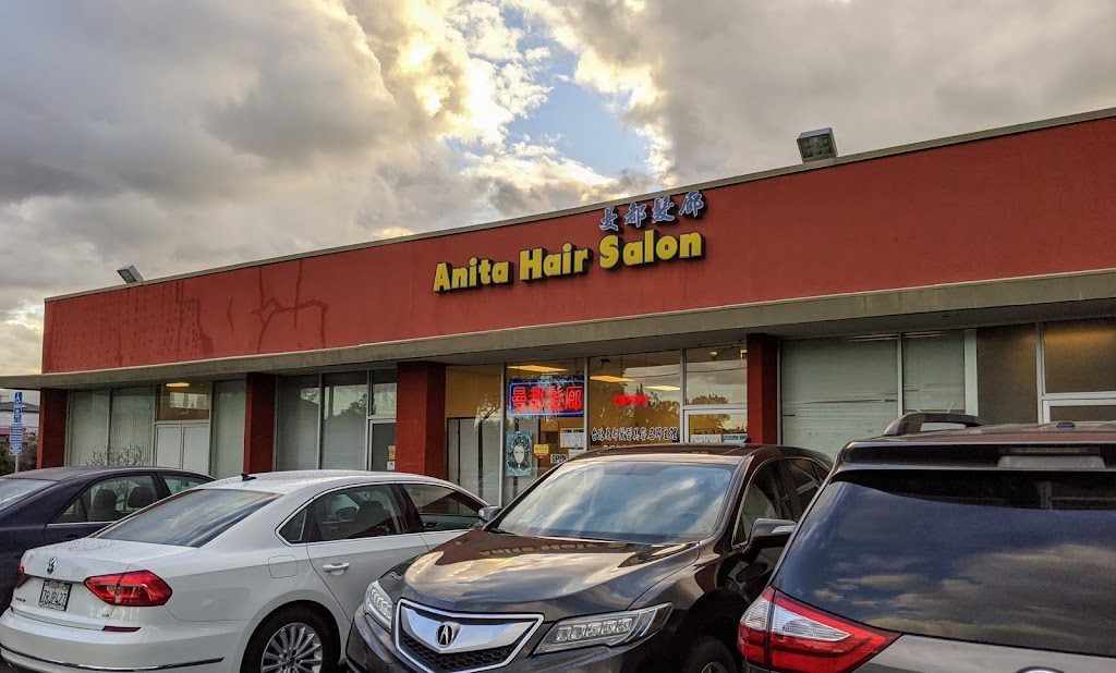 Anita Hair Salon | Loree Center, 10029 Judy Ave, Cupertino, CA 95014 | Phone: (408) 973-1168