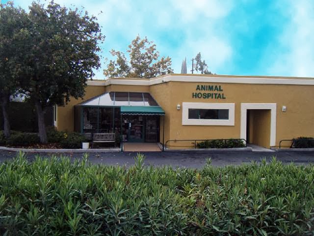 Animal Clinic of Antioch | 2204 A St, Antioch, CA 94509 | Phone: (925) 732-3666
