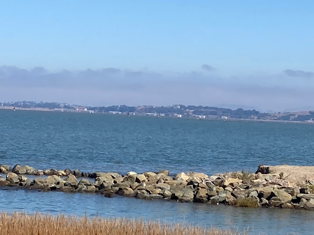 Bayfront Park | 1 Tennent Ave, Pinole, CA 94564 | Phone: (510) 724-9807