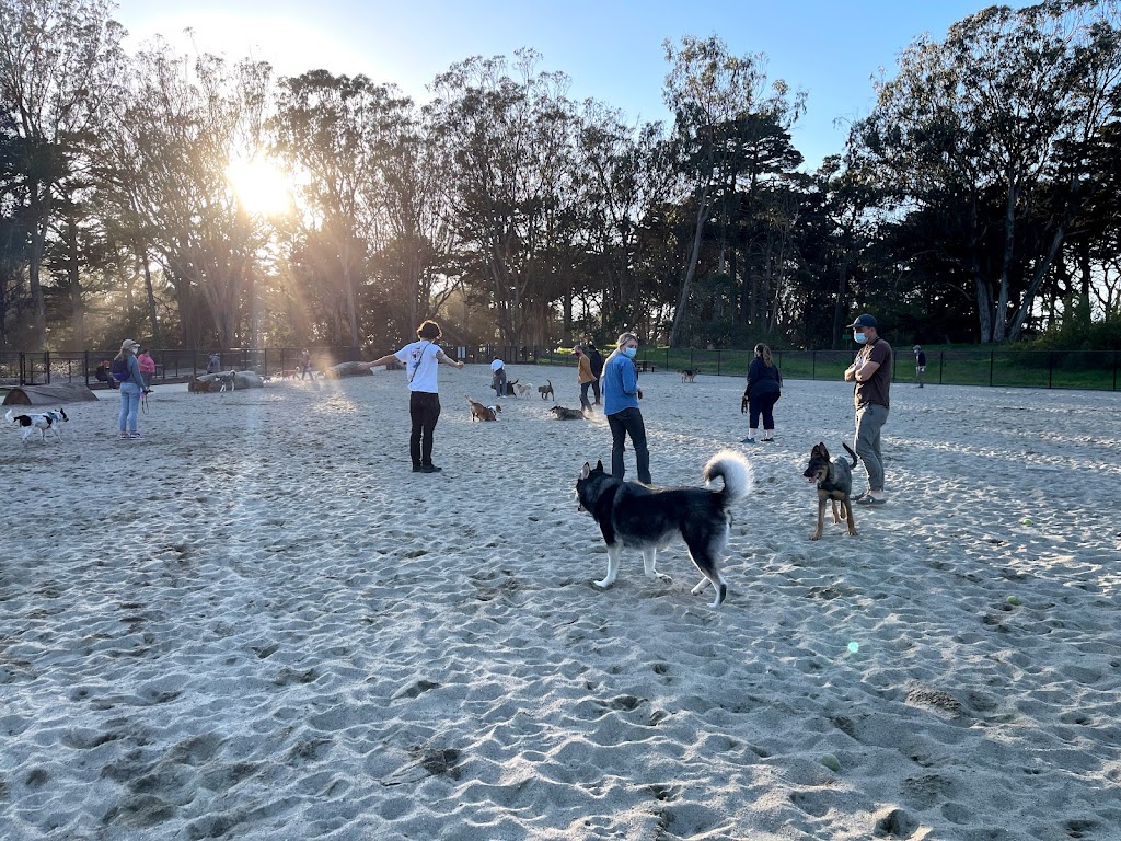 Golden Gate Park Dog Training Area | 6335 Fulton St, San Francisco, CA 94121 | Phone: (415) 831-2700