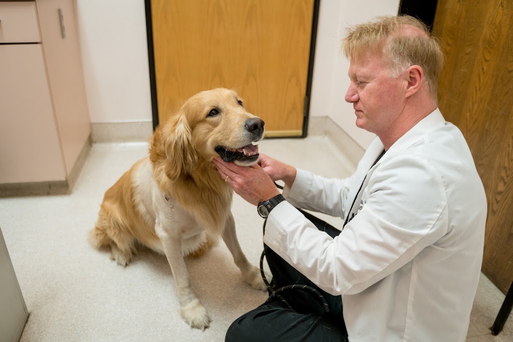 Beacon Veterinary Specialists | 1618 Washington Blvd, Fremont, CA 94539 | Phone: (510) 657-6343