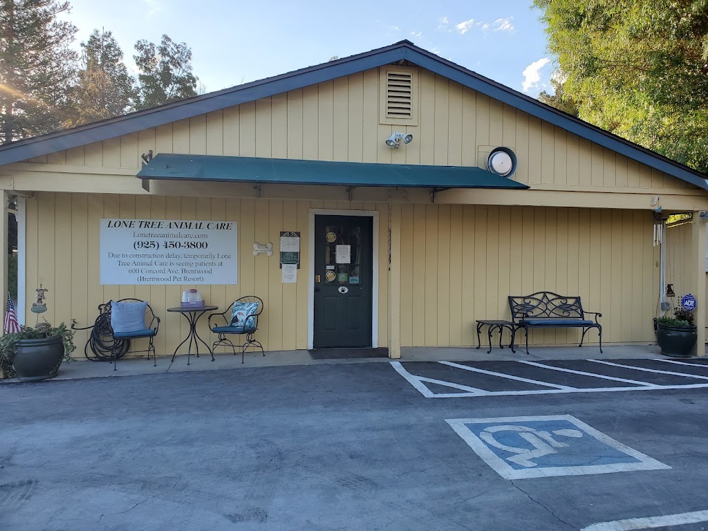 Lone Tree Animal Care | 600 Concord Ave, Brentwood, CA 94513 | Phone: (925) 450-3800