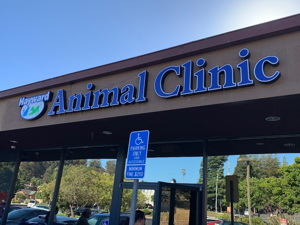 Hayward Animal Clinic | 26775 Hayward Blvd # O, Hayward, CA 94542 | Phone: (510) 941-0101