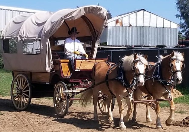 Fancy Ferriage by Horse & Carriage | 3900 Brown Rd, Oakley, CA 94561 | Phone: (925) 679-9412