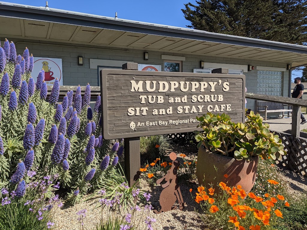 Mudpuppys at Point Isabel Dog Park | 1 Isabel St, Richmond, CA 94804 | Phone: (888) 505-2998