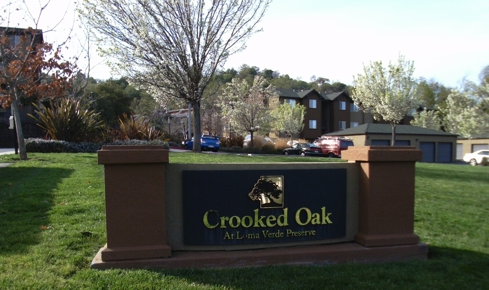 Crooked Oak at Loma Verde Preserve | 130 Cielo Ln, Novato, CA 94949 | Phone: (415) 691-2673