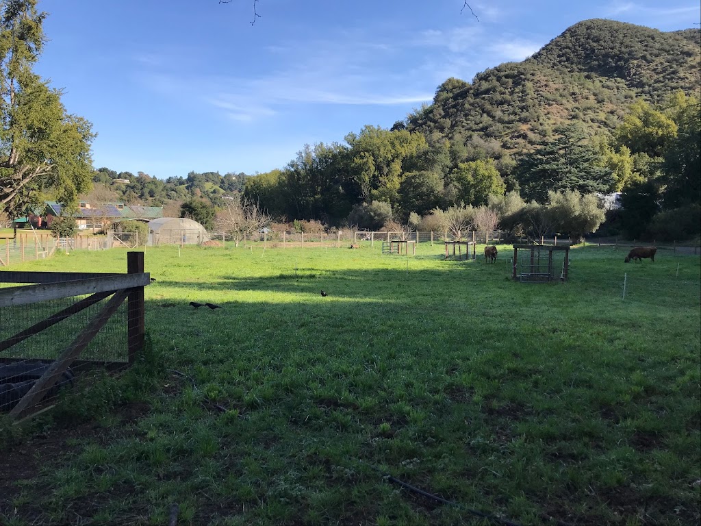 Hidden Villa Hiking Trails | 26870 Moody Rd, Los Altos Hills, CA 94022 | Phone: (650) 949-8650