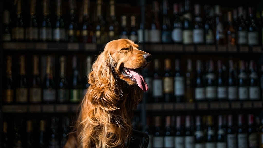 Dog Friendly Wine Tours | 608 Kilpatrick St, American Canyon, CA 94503 | Phone: (707) 260-4828