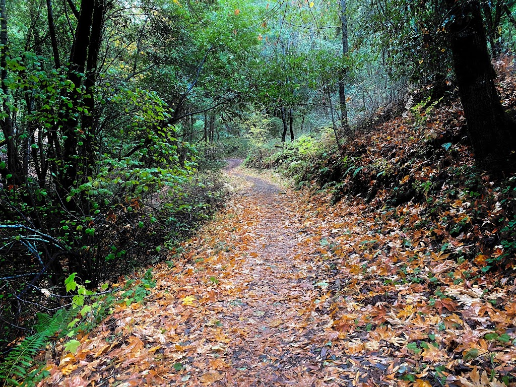 Los Trancos Open Space Preserve | Los Altos, CA 94022 | Phone: (650) 691-1200