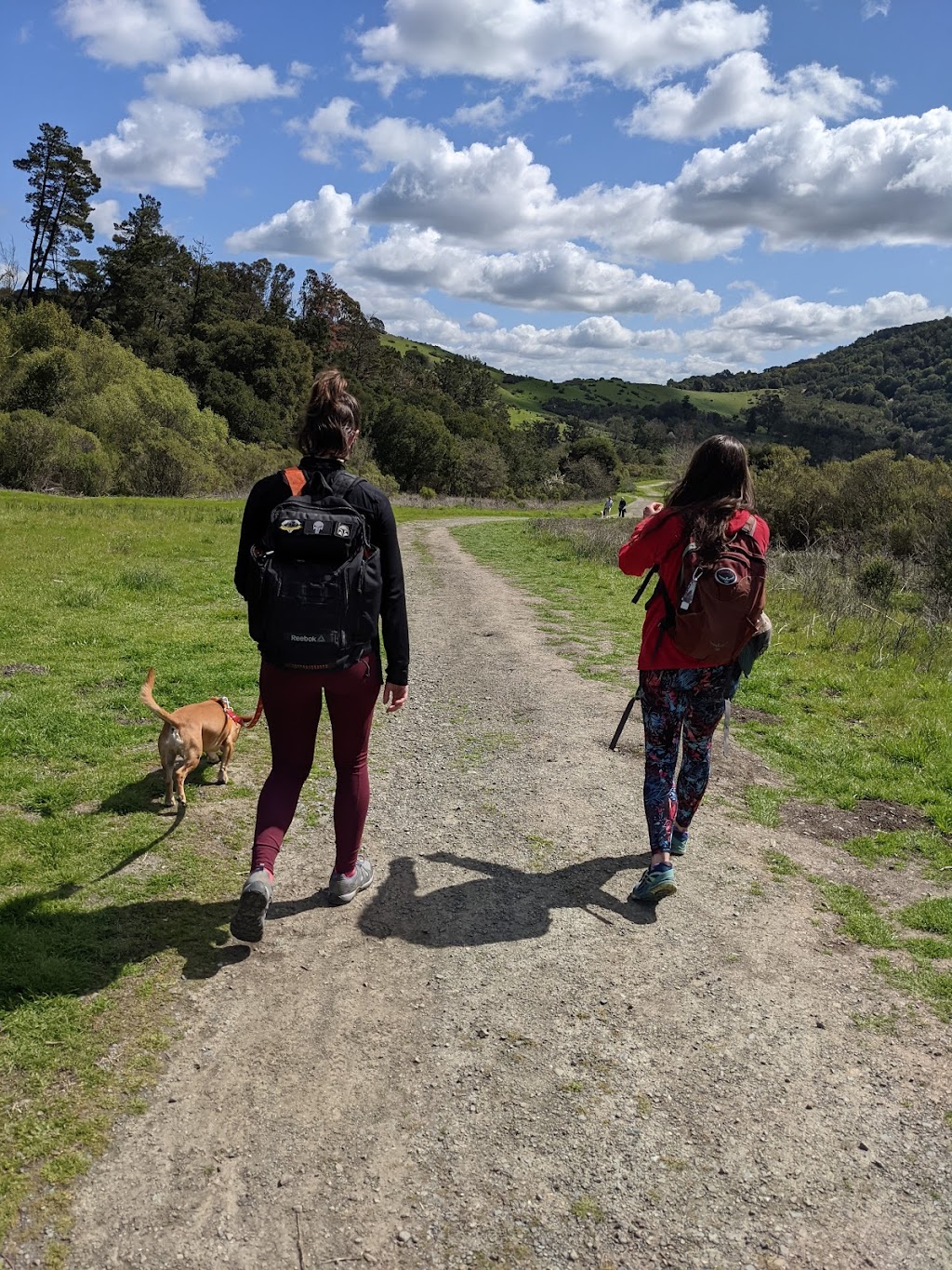 EBMUD Valle Vista Staging Area | Moraga, CA 94556 | Phone: (866) 403-2683