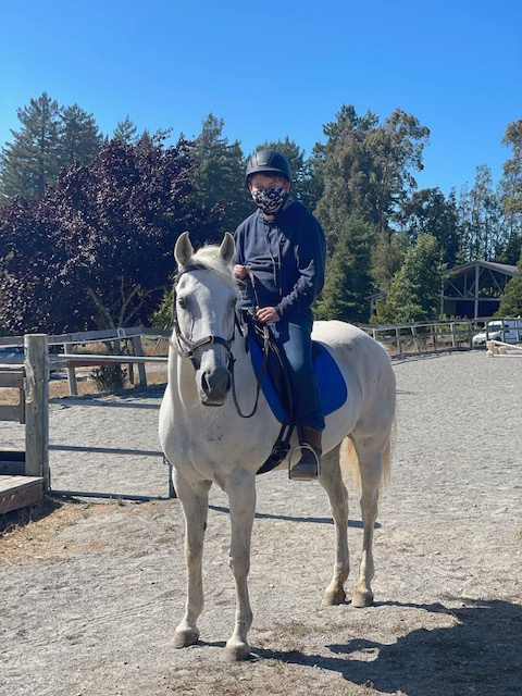 Apple Blossom Equestrian | 6115 Orchard Station Rd, Petaluma, CA 94952 | Phone: (707) 490-5915