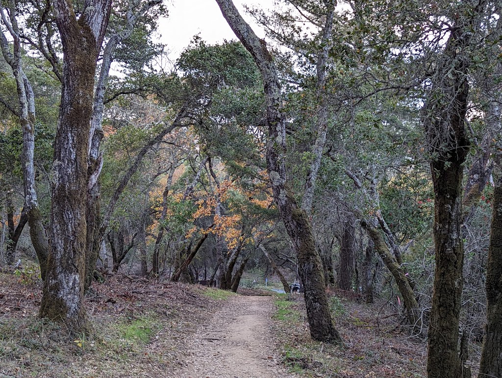 Thornewood Open Space Preserve | 707 La Honda Rd, Woodside, CA 94062 | Phone: (650) 691-1200