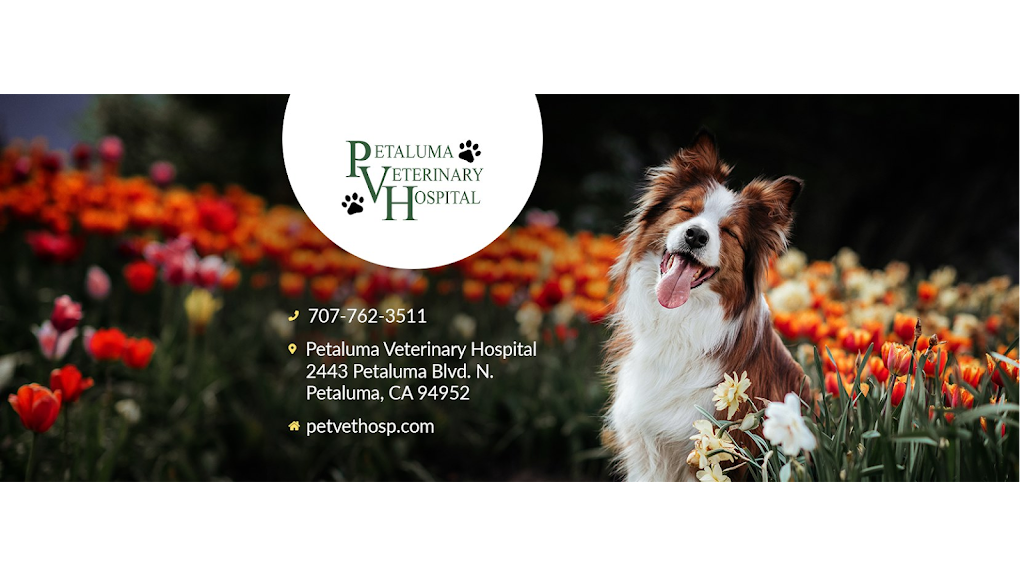 Petaluma Veterinary Hospital | 2443 Petaluma Blvd N, Petaluma, CA 94952 | Phone: (707) 762-3511