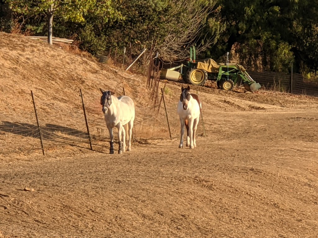 Childrens House of Los Altos | 25890 Fremont Rd, Los Altos Hills, CA 94022 | Phone: (650) 941-1277