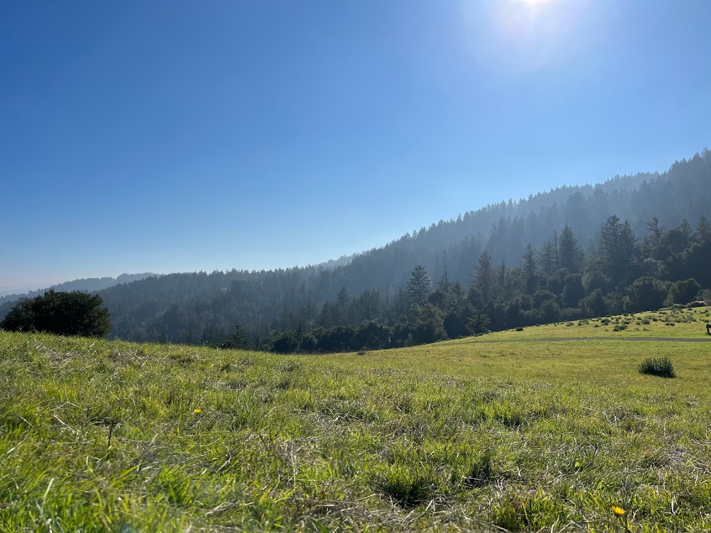 Wunderlich County Park | 4040 Woodside Rd, Woodside, CA 94062 | Phone: (650) 851-1210