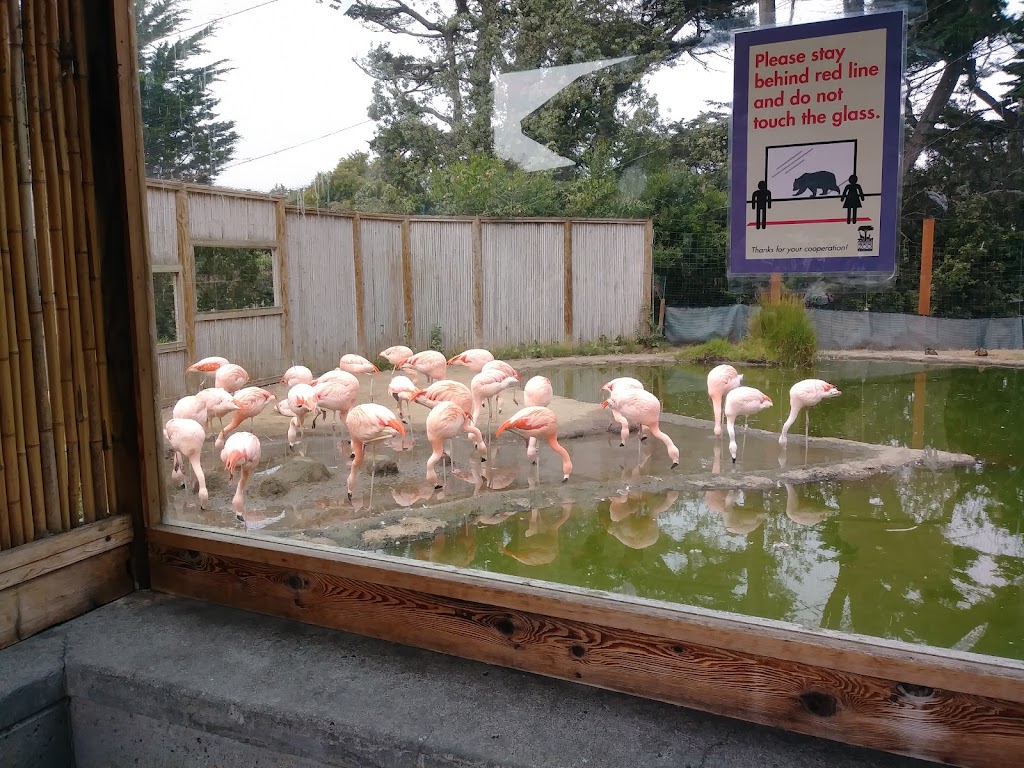 Zoo Parking | 1 Zoo Rd, San Francisco, CA 94132 | Phone: (415) 753-7080