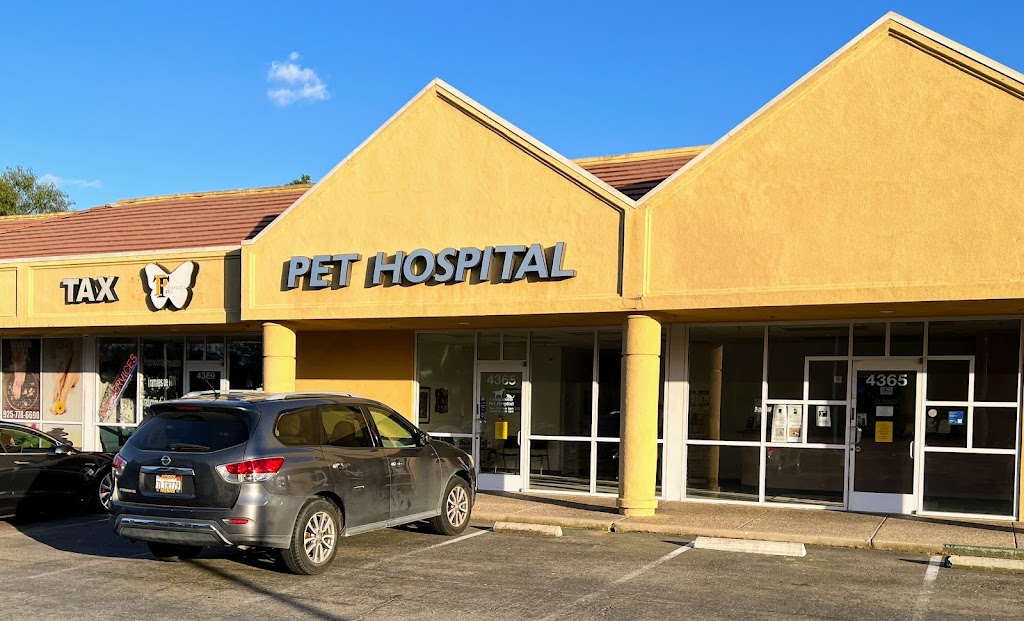 Companion Pet Hospital | 4365 Hillcrest Ave, Antioch, CA 94531 | Phone: (925) 757-2287