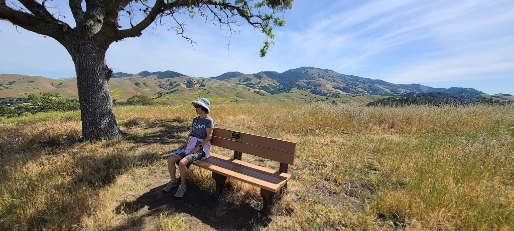 Andrew King Memorial Bench | Ridge Top Trail, Walnut Creek, CA 94598 | Phone: (925) 639-4443