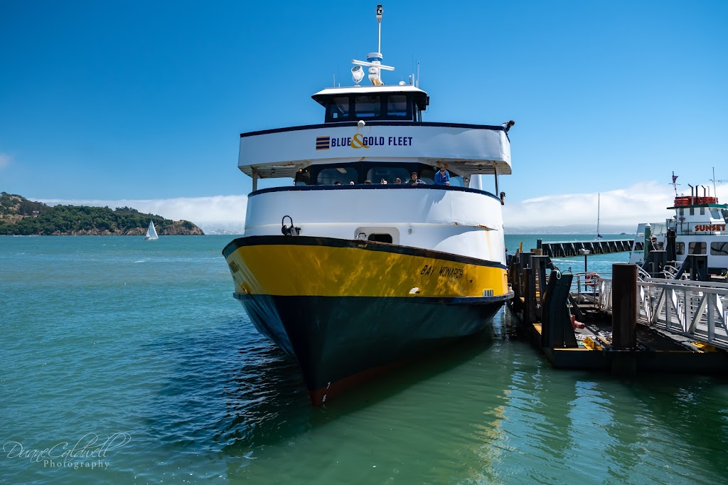 Angel Island - Tiburon Ferry | 21 Main St, Belvedere Tiburon, CA 94920 | Phone: (415) 435-2131