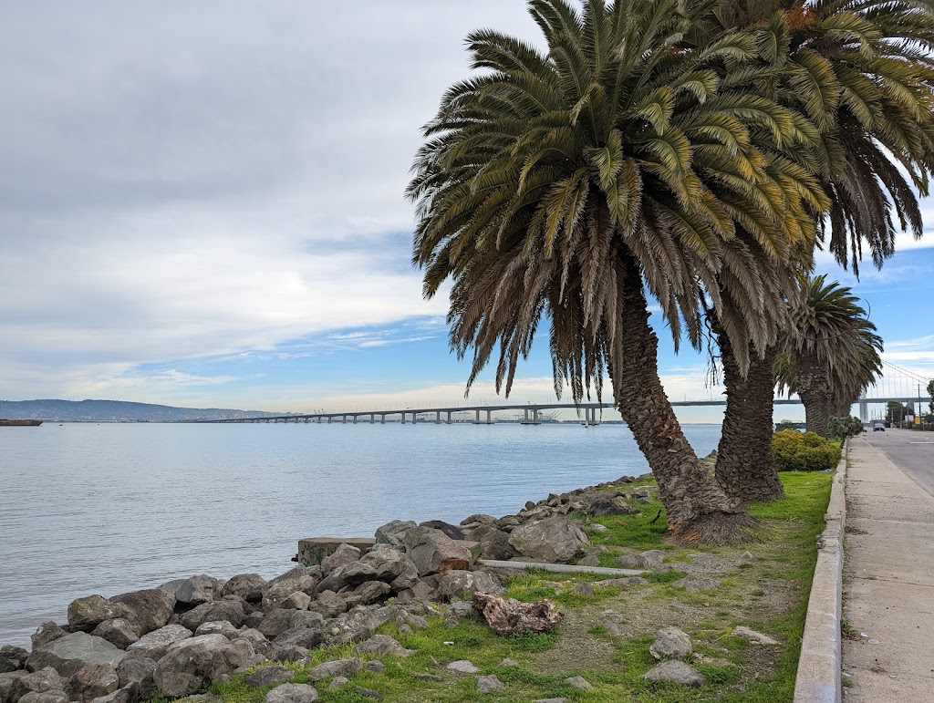 SFFD Treasure Island Training Facility Building 600 | 649 Avenue N, San Francisco, CA 94130 | Phone: (415) 318-4528