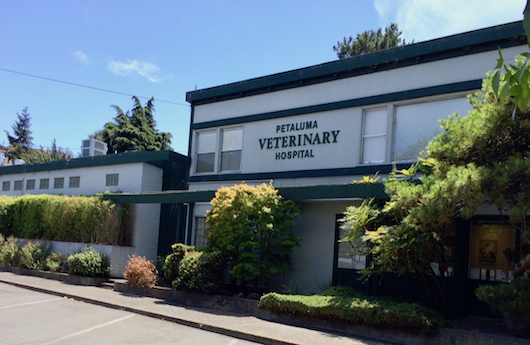 Petaluma Veterinary Hospital | 2443 Petaluma Blvd N, Petaluma, CA 94952 | Phone: (707) 762-3511