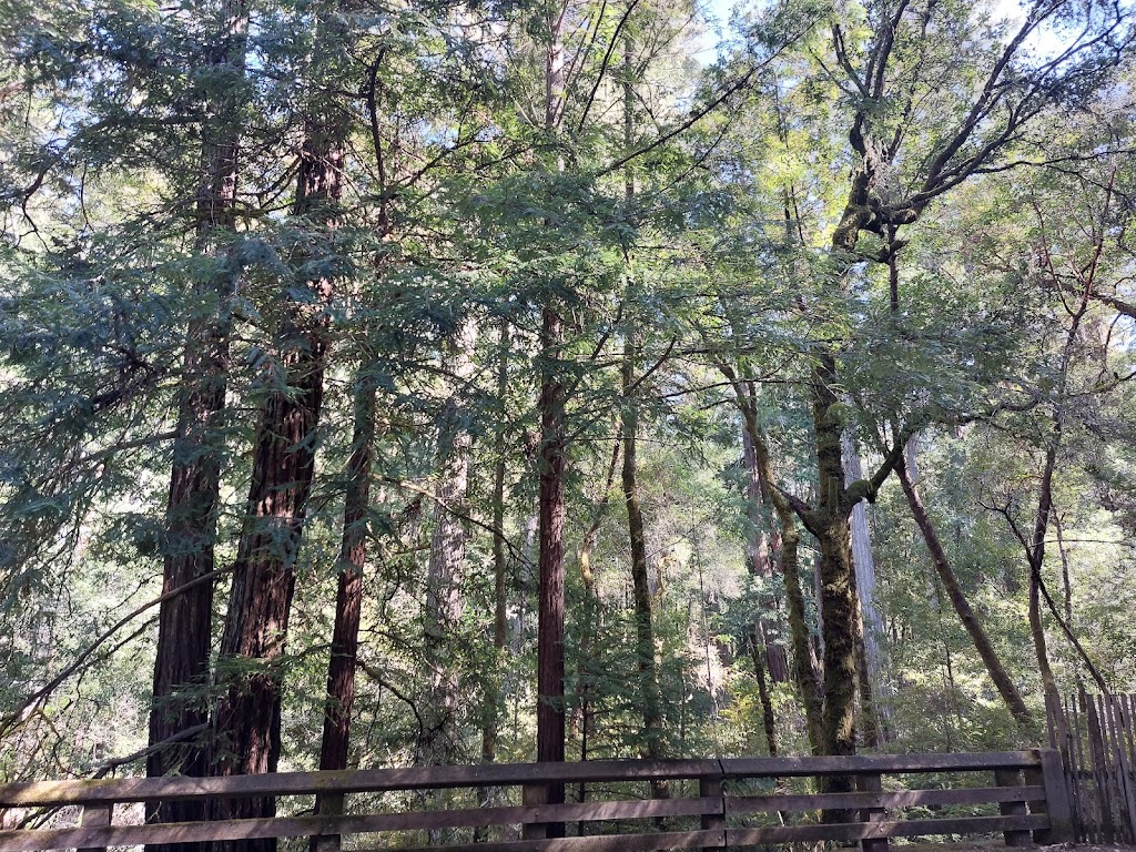 Portola Redwoods State Park Visitor Center | Park Office, 9000 Portola State Park Rd, La Honda, CA 94020 | Phone: (650) 948-9098