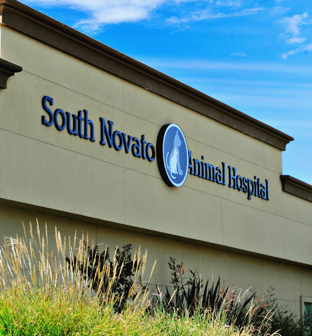 South Novato Animal Hospital | 7077 Redwood Blvd, Novato, CA 94945 | Phone: (415) 897-8200