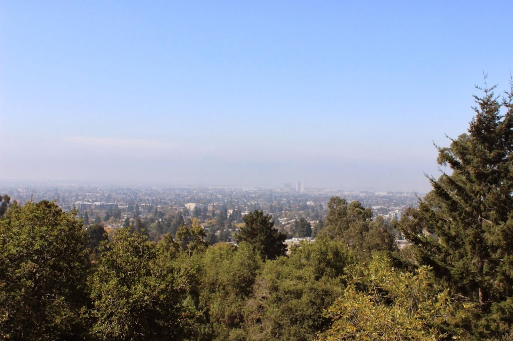 Osborne Properties | 156 Panoramic Way, Berkeley, CA 94704 | Phone: (510) 592-4578