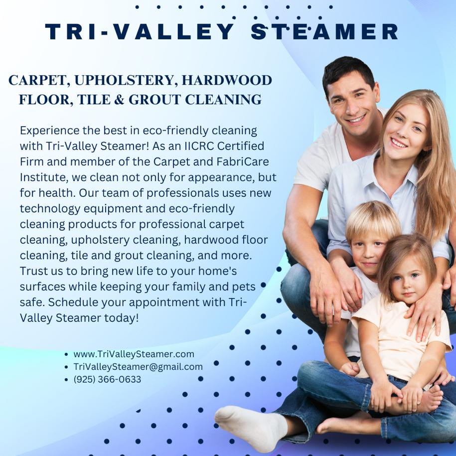 Tri-Valley Steamer | 2311 Ivy Hill Way, San Ramon, CA 94582 | Phone: (925) 366-0633
