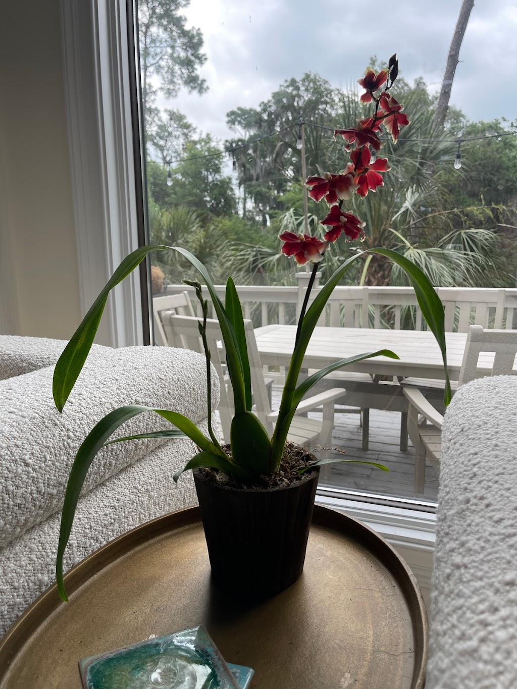 Brookside Orchids | 2718 Alpine Rd, Portola Valley, CA 94028 | Phone: (650) 854-4156