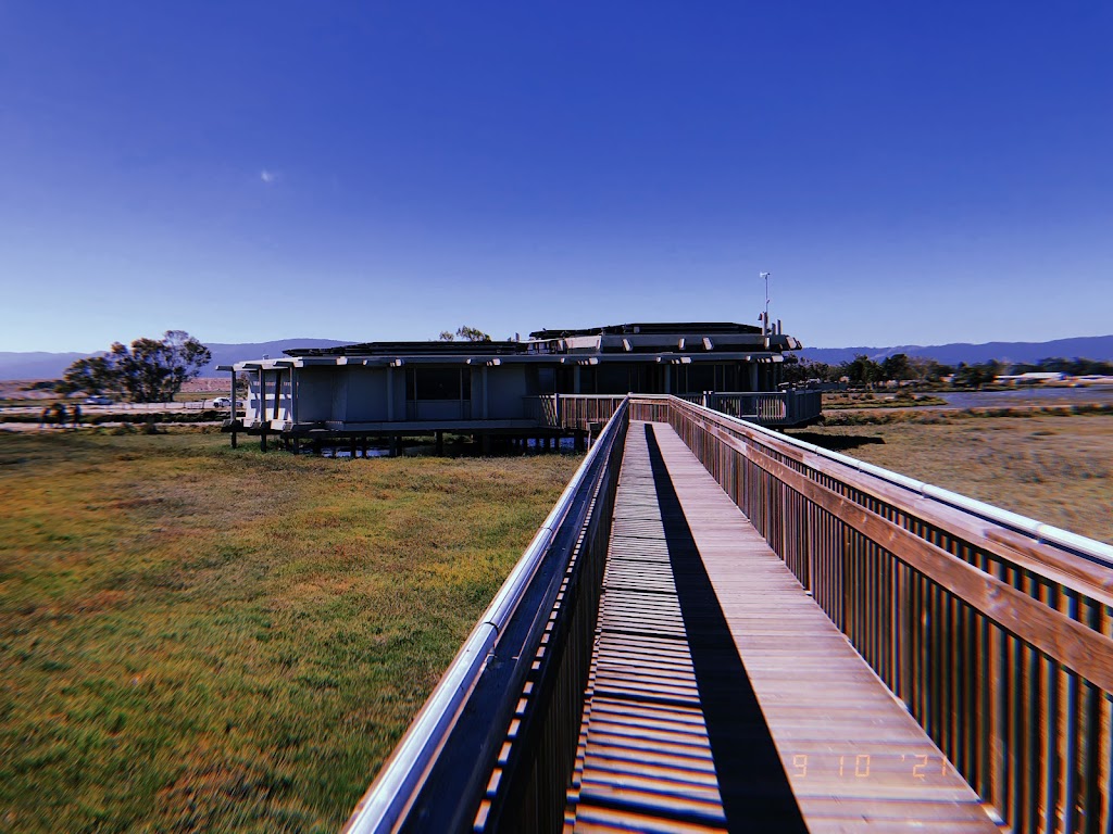 Lucy Evans Baylands Nature Interpretive Center | 2775 Embarcadero Rd, Palo Alto, CA 94303 | Phone: (650) 329-2506